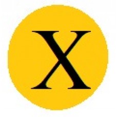 Бусины с буквами золотистые X